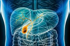 Gastro hepatobiliary surgery